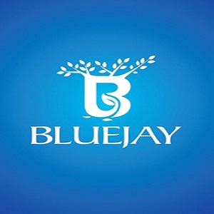 Builder Logo