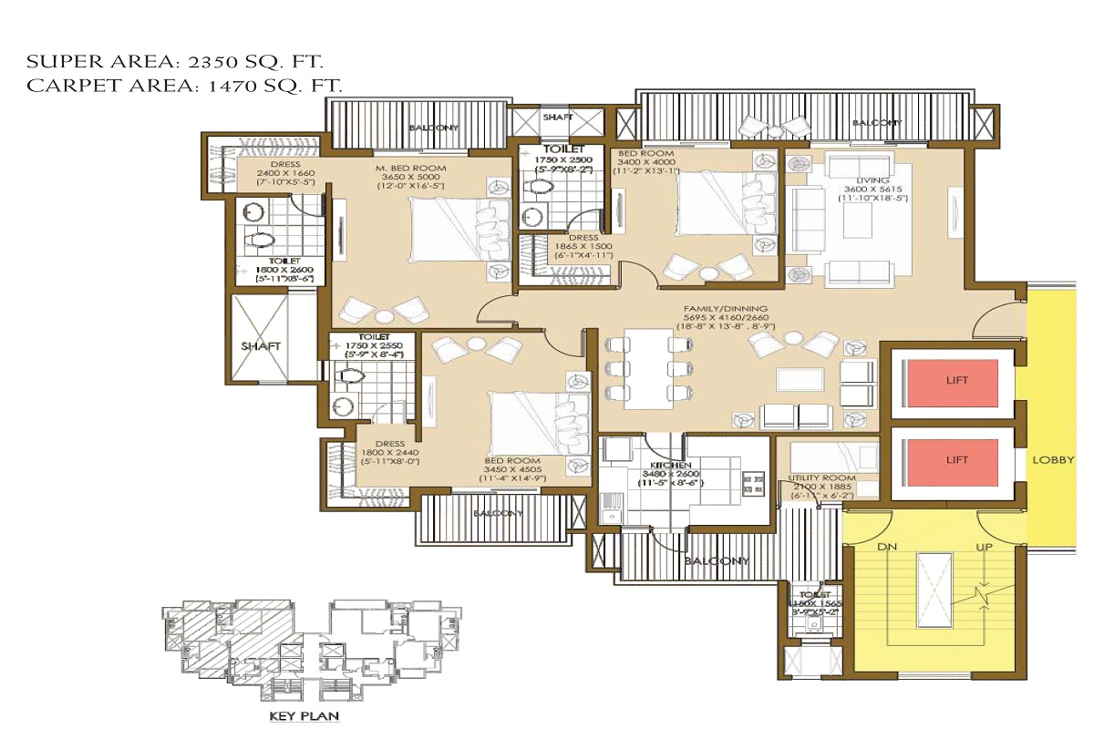 3 bhk Floor Plan