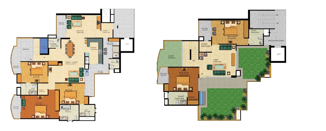 5 bhk Floor Plan