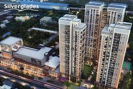 Silver glades 