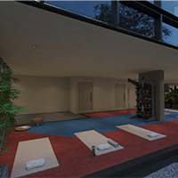 Calisthenics Exercise