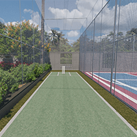 Cricket Pitch