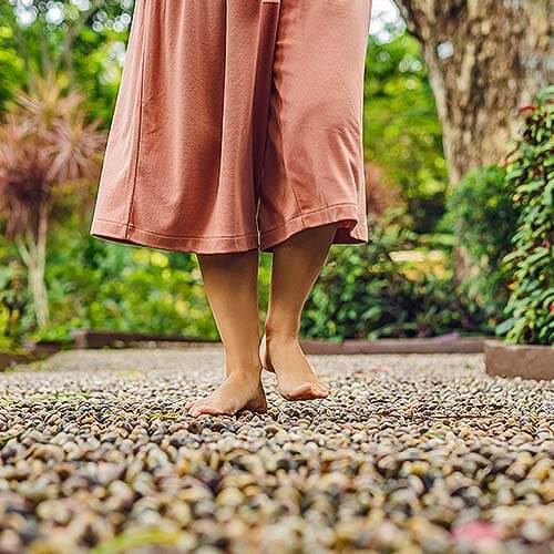 Reflexogy Pathway