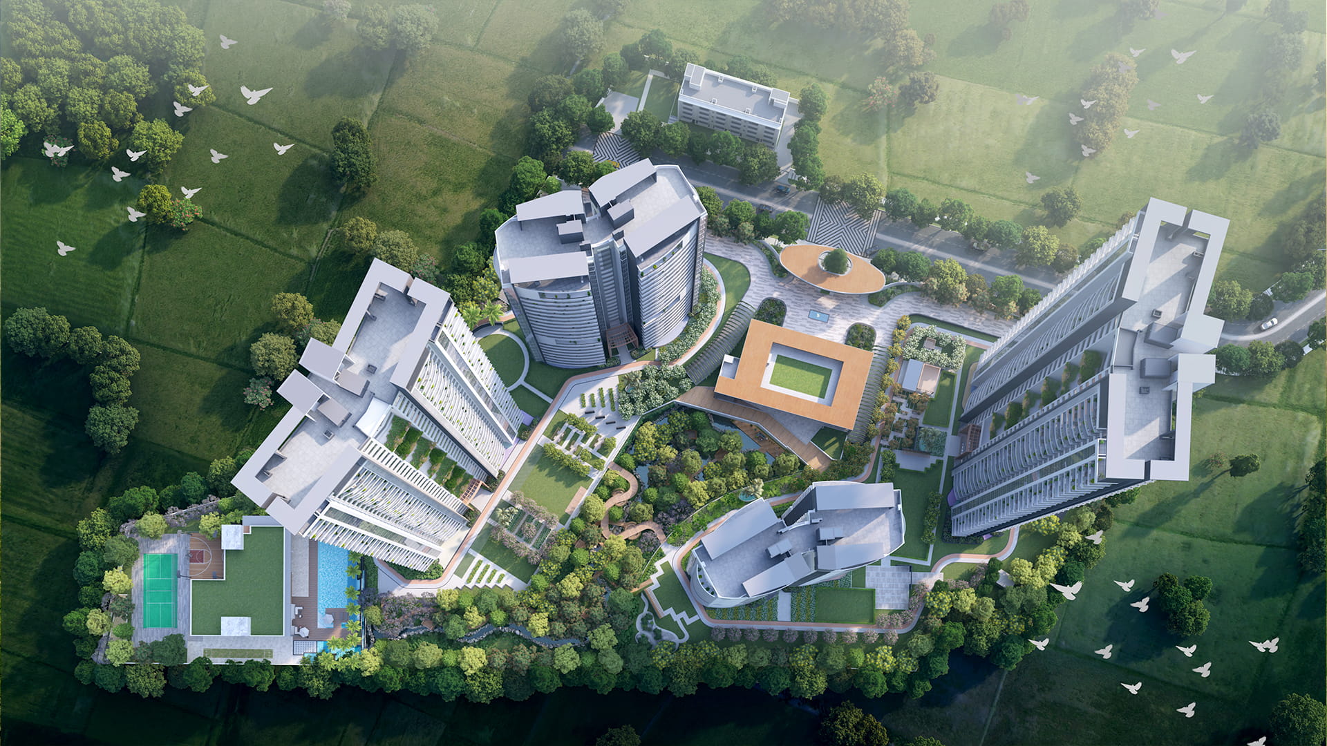 Bird's Eye View - Lushlands