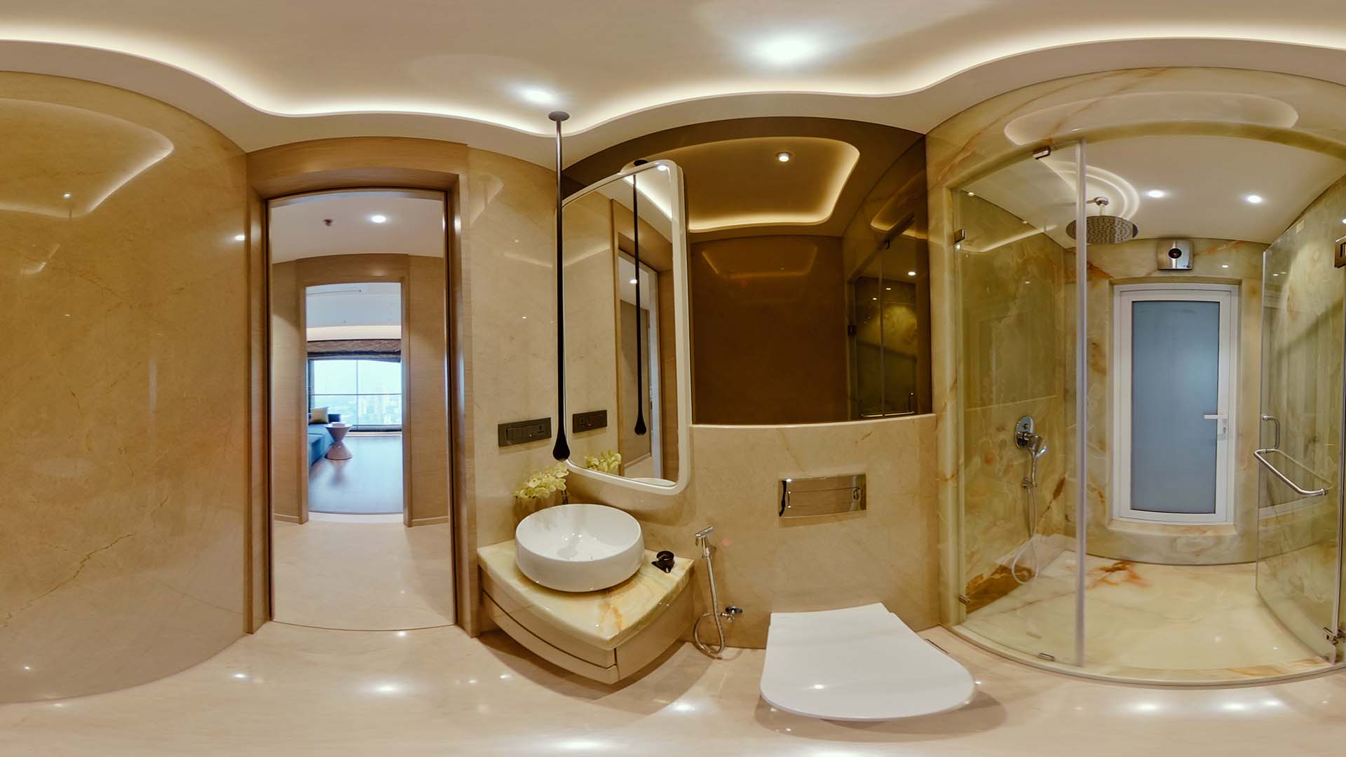 Common Toilet