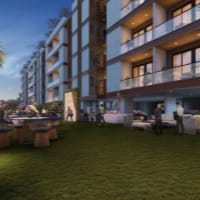 Party Lawn