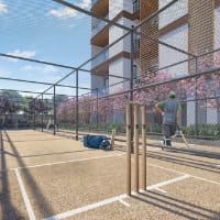 Cricket Practice Pitch