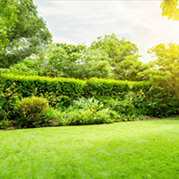 Central Gathering Lawn