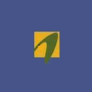 Builder Logo