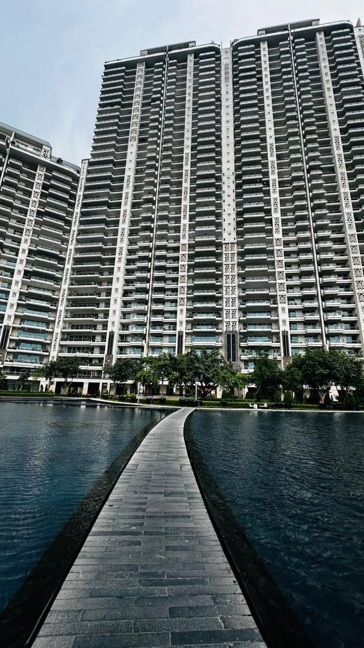 DLF The Camellias