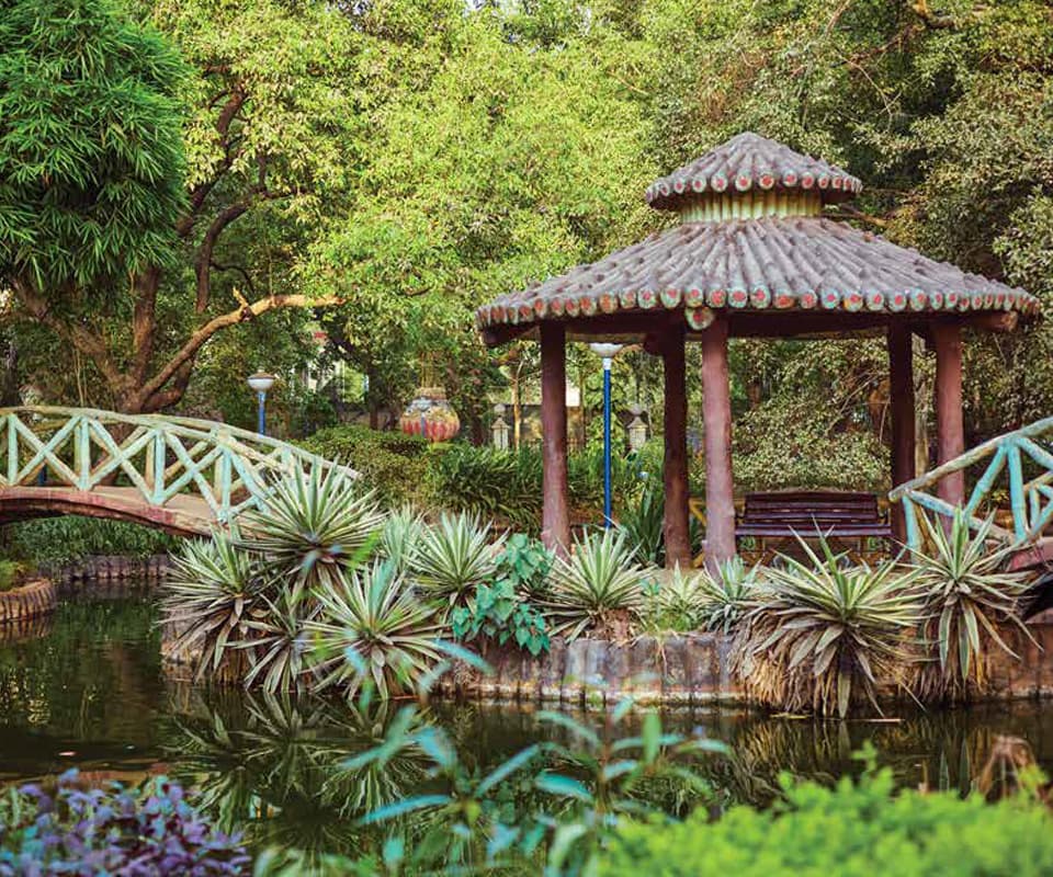Hiranandani Gardens Canna nature pond