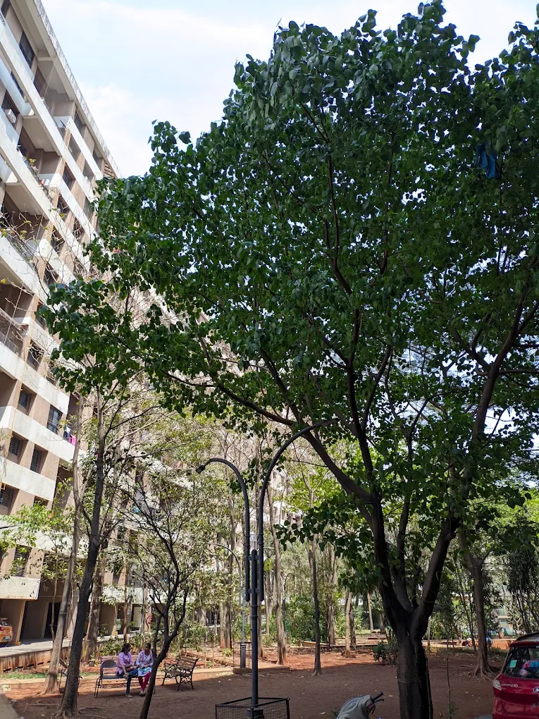 Kalpataru Estate Phase 2 Building 5 And 6 Society Park