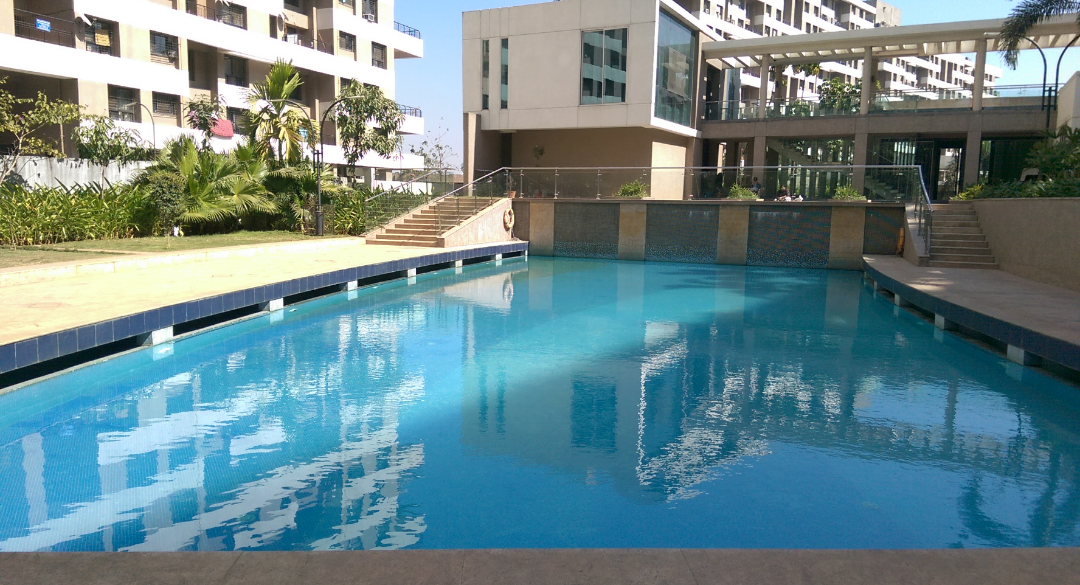 Kalpataru Estate Phase 2 Building 5 And 6 Society Swimming pool