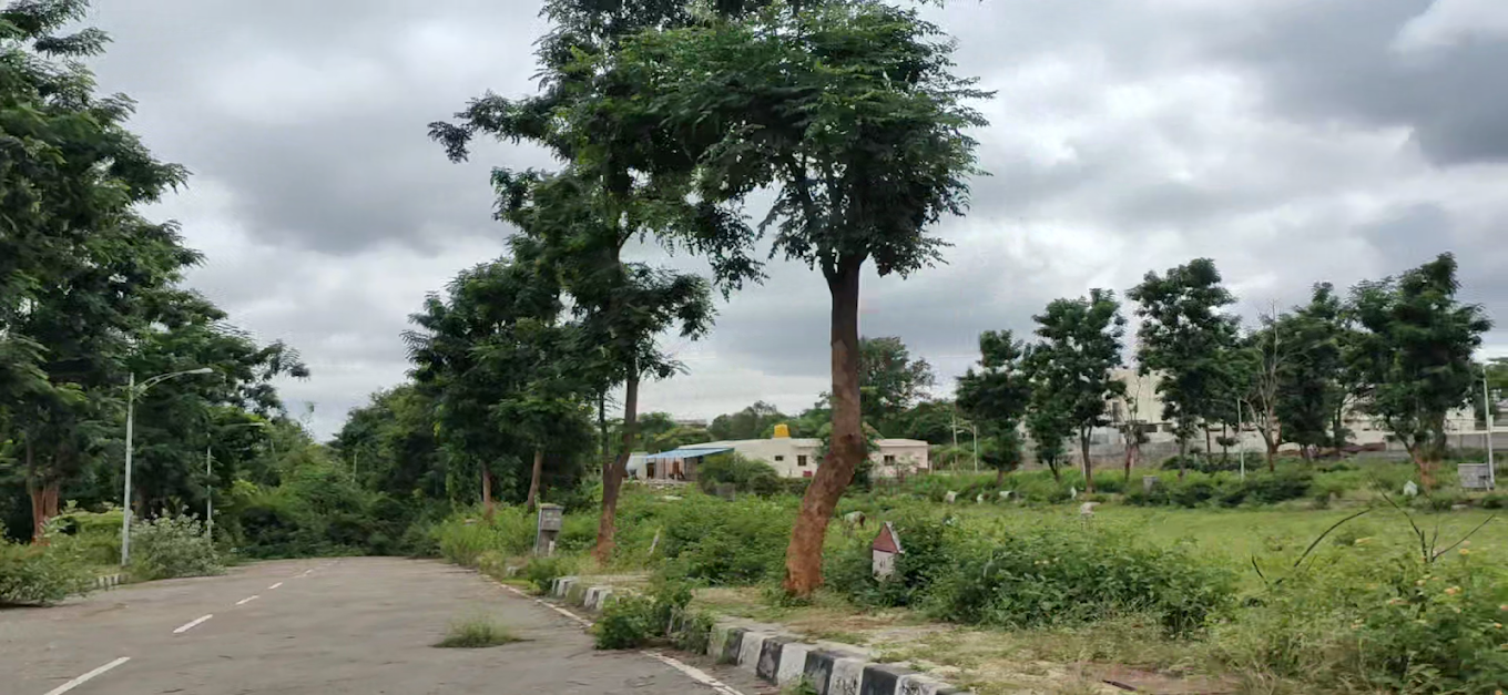 Prisha Golden Valley Phase II Landscape View
