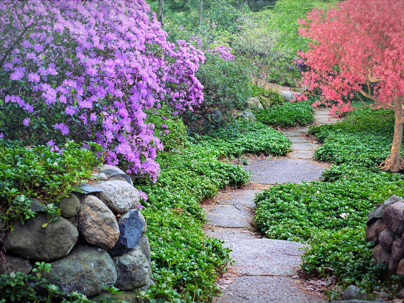 Ycon Platinum Heights Garden