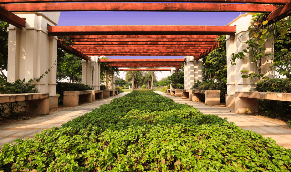 538 Sq.Ft. Plot for Sale in DLF Alameda
