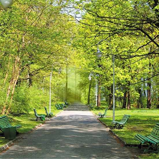 3 BHK Apartment For Sale in Godrej Palm Retreat