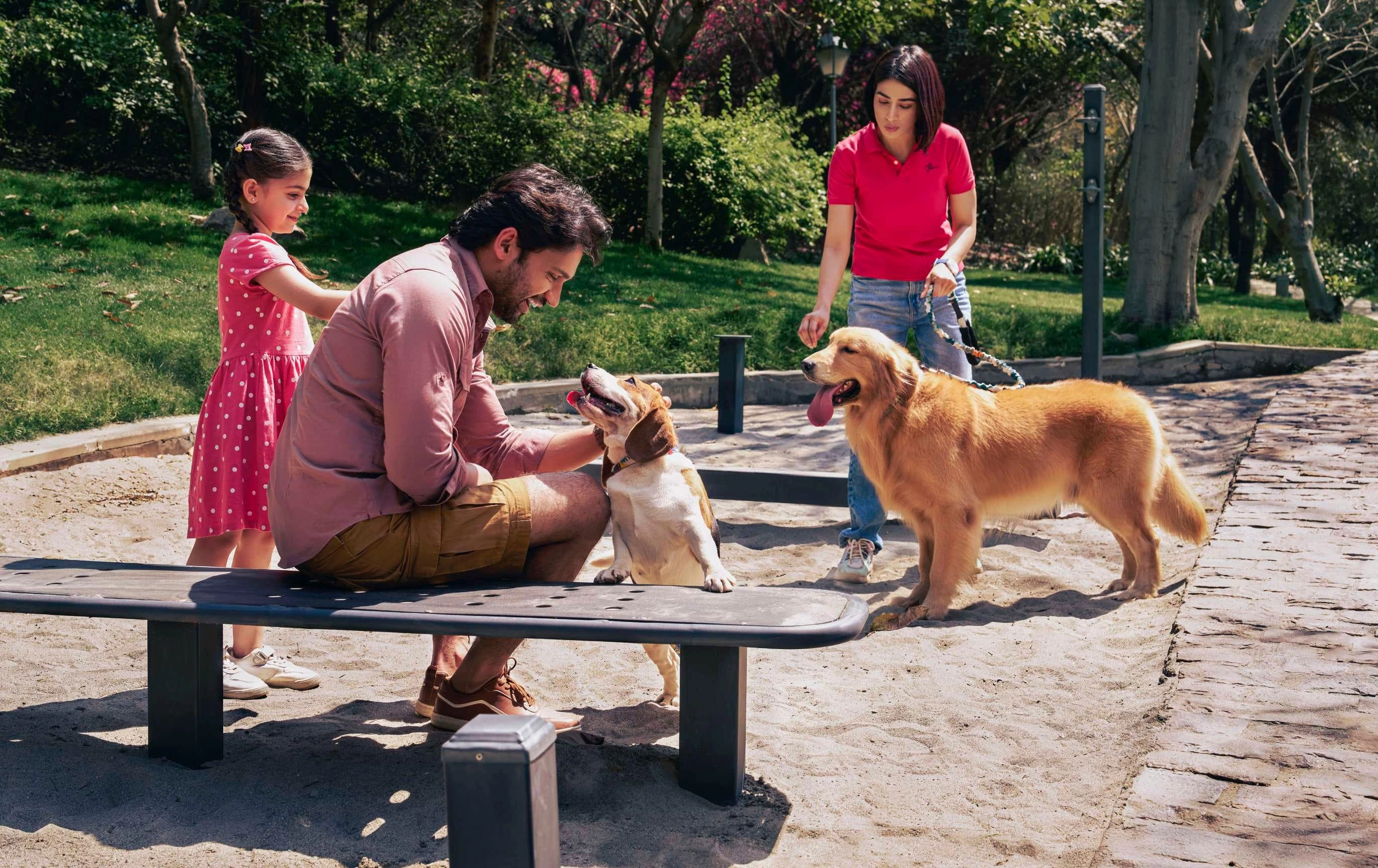 DLF The Westpark Pet Area