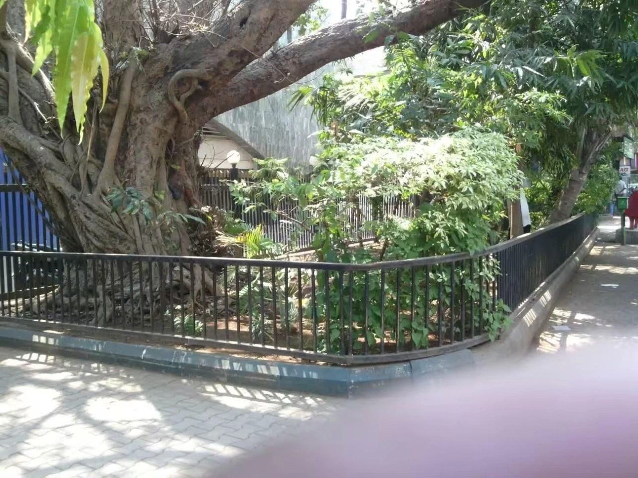 Kalpataru Heights Garden