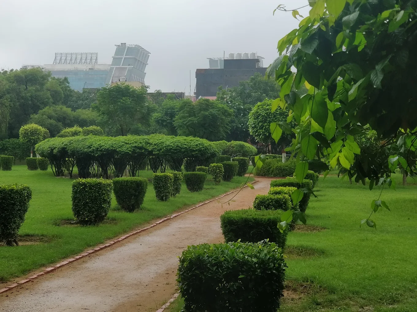 DLF City Phase III