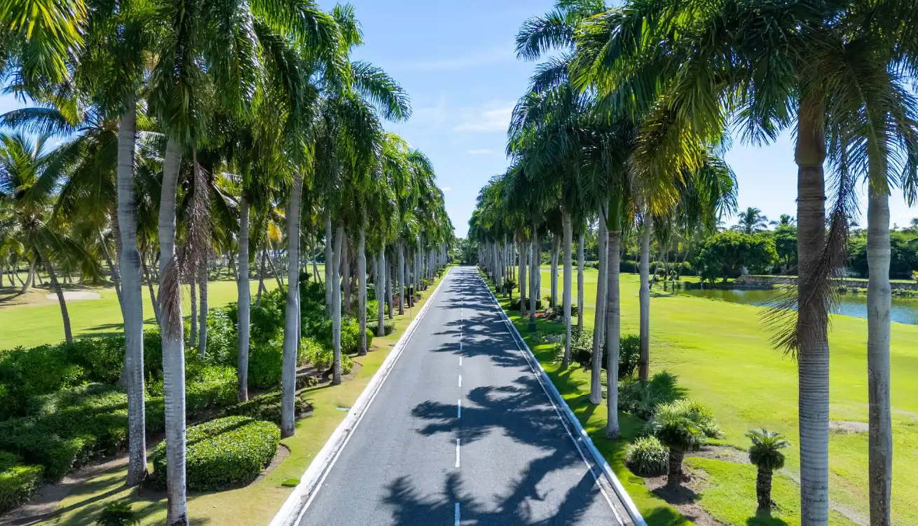 Godrej Alira Palm Lined Boulevard