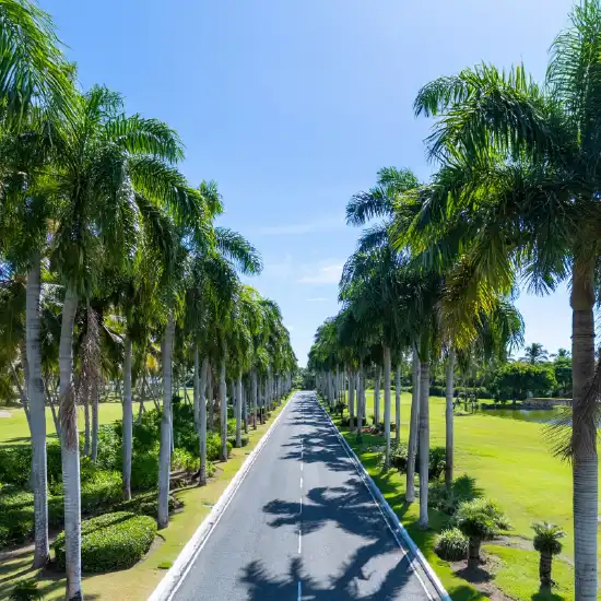 Godrej Alira Palm Lined Boulevard