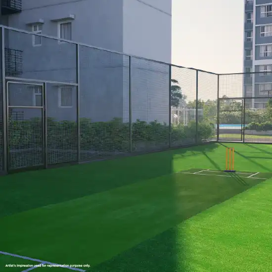 Godrej Ivara Cricket Pitch