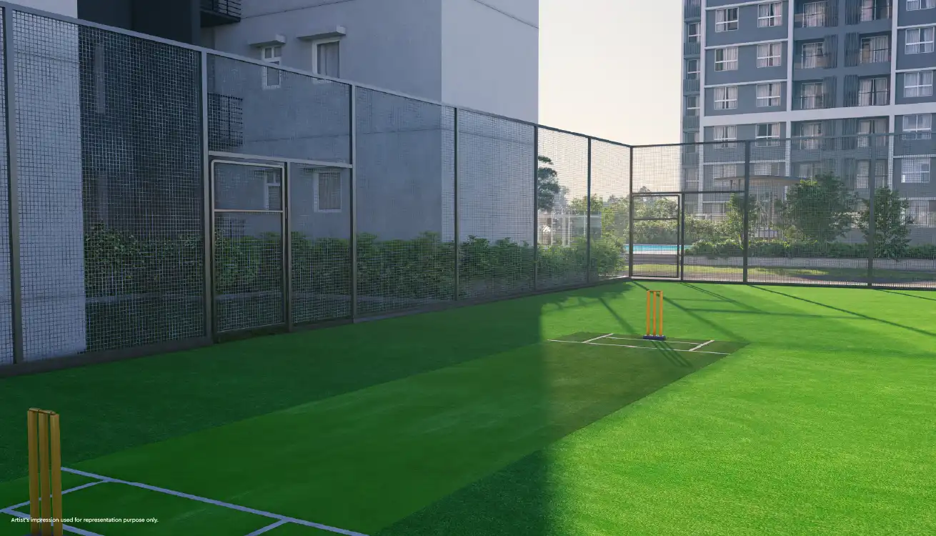 Godrej Ivara Cricket Pitch