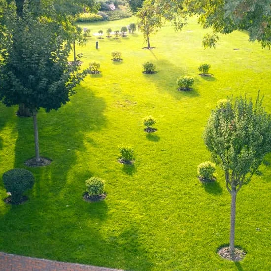 Godrej Reserve Central Garden