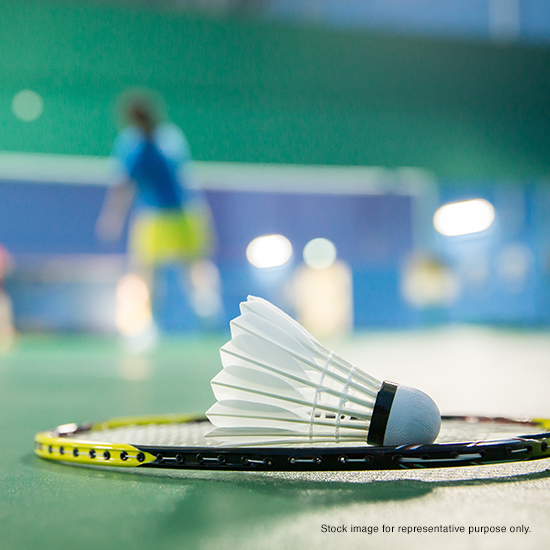 Godrej Vistas Badminton Court