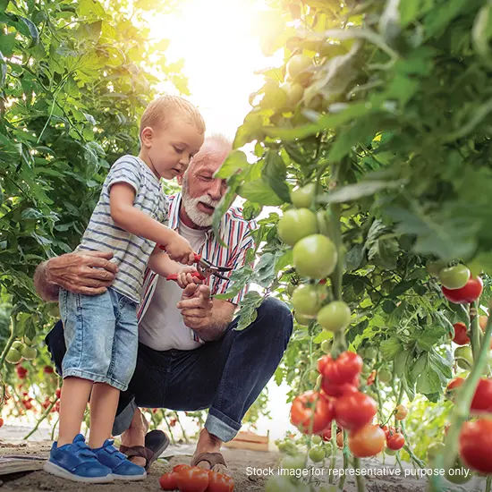 Godrej Vistas Organic Farming