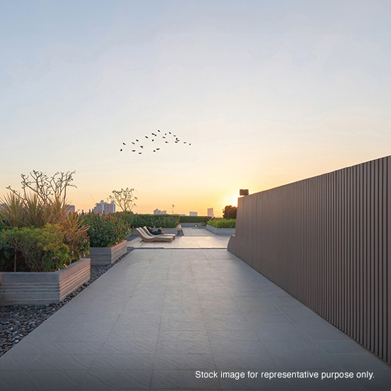 Godrej Vistas Bird Watching