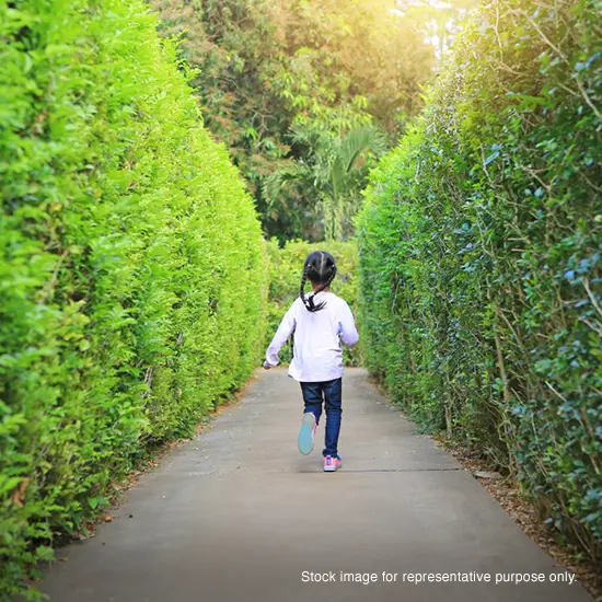 Godrej Vistas Maze Garden