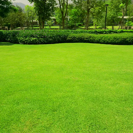 Godrej The Gale at Godrej Park World Multipurpose Lawn