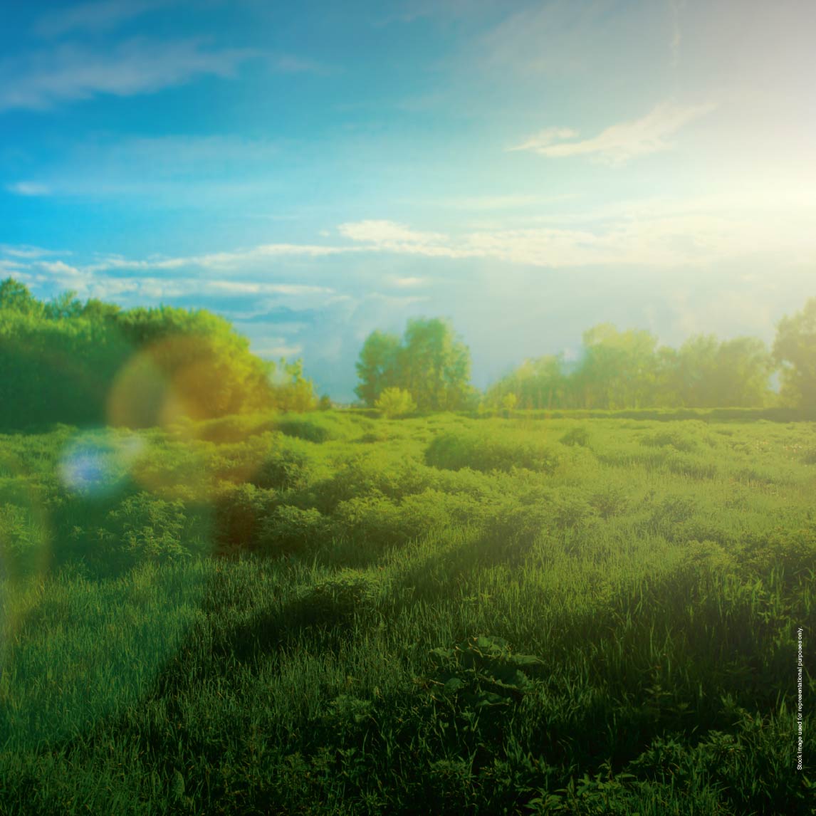 Godrej The Greenfront at Godrej Park World Image