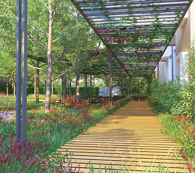 Lodha Casa Evergreen Vikhroli photos